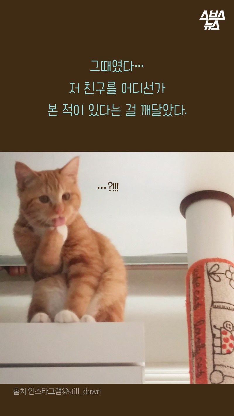 그때였다...
      저 친구를 어디선가
      본 적이 있다는 걸 깨달았다. 