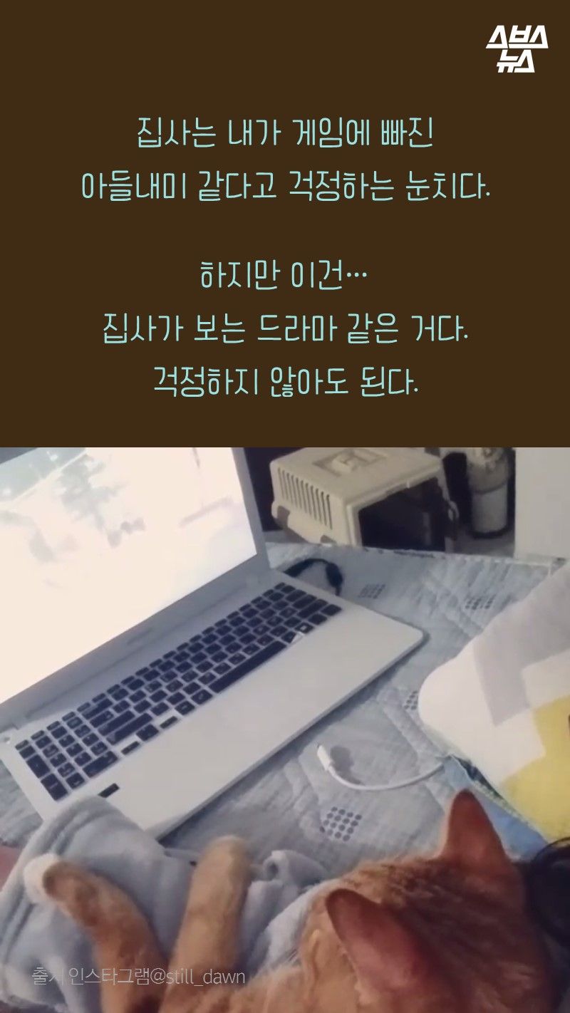 집사는 내가 게임에 빠진
       아들내미 같다고 걱정하는 눈치다.

      하지만 이건...
      집사가 보는 드라마 같은 거다.
      걱정하지 않아도 된다.           