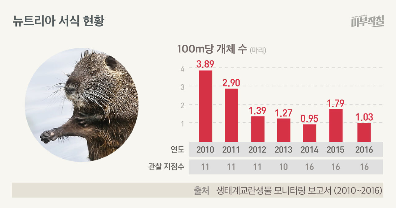[마부작침] 뉴트리아 서식 현황