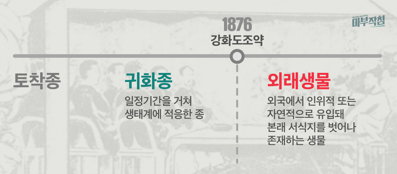 [마부작침] 토착종, 귀화종, 외래생물 기준