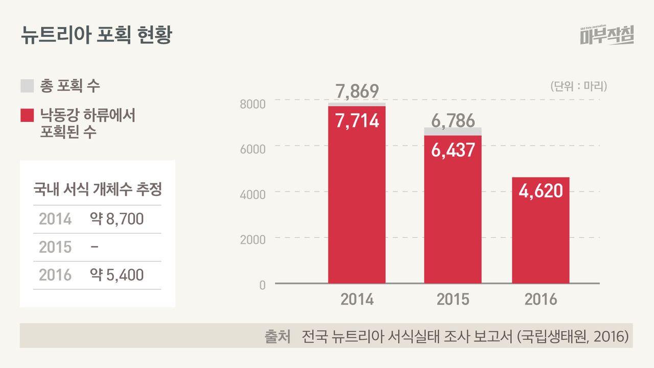 [마부작침] 외래종