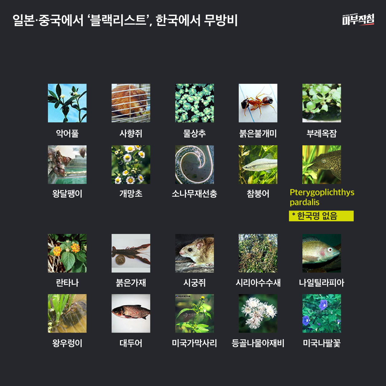 [마부작침] 일본, 중국에서 블랙리스트 한국에서 무방비