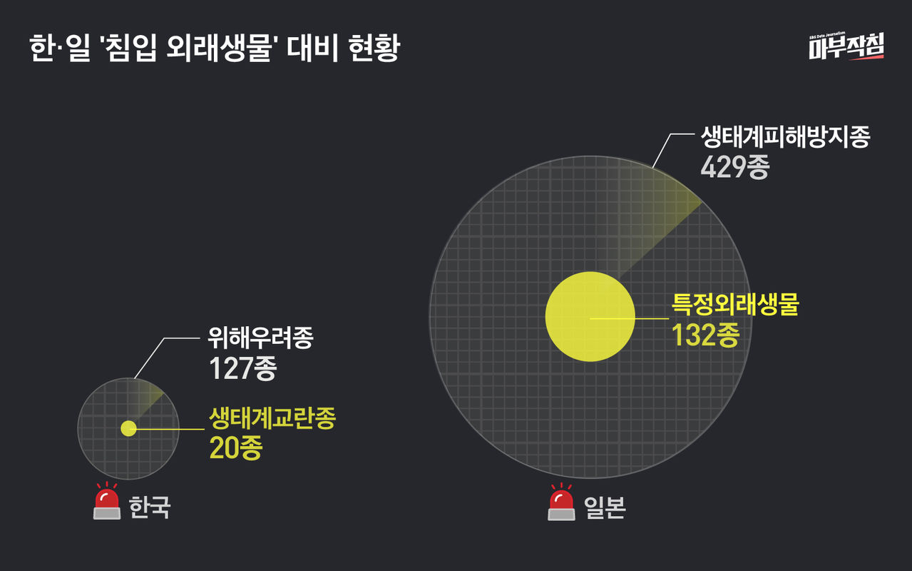 [마부작침] 한,일 침입 외래생물 대비 현황