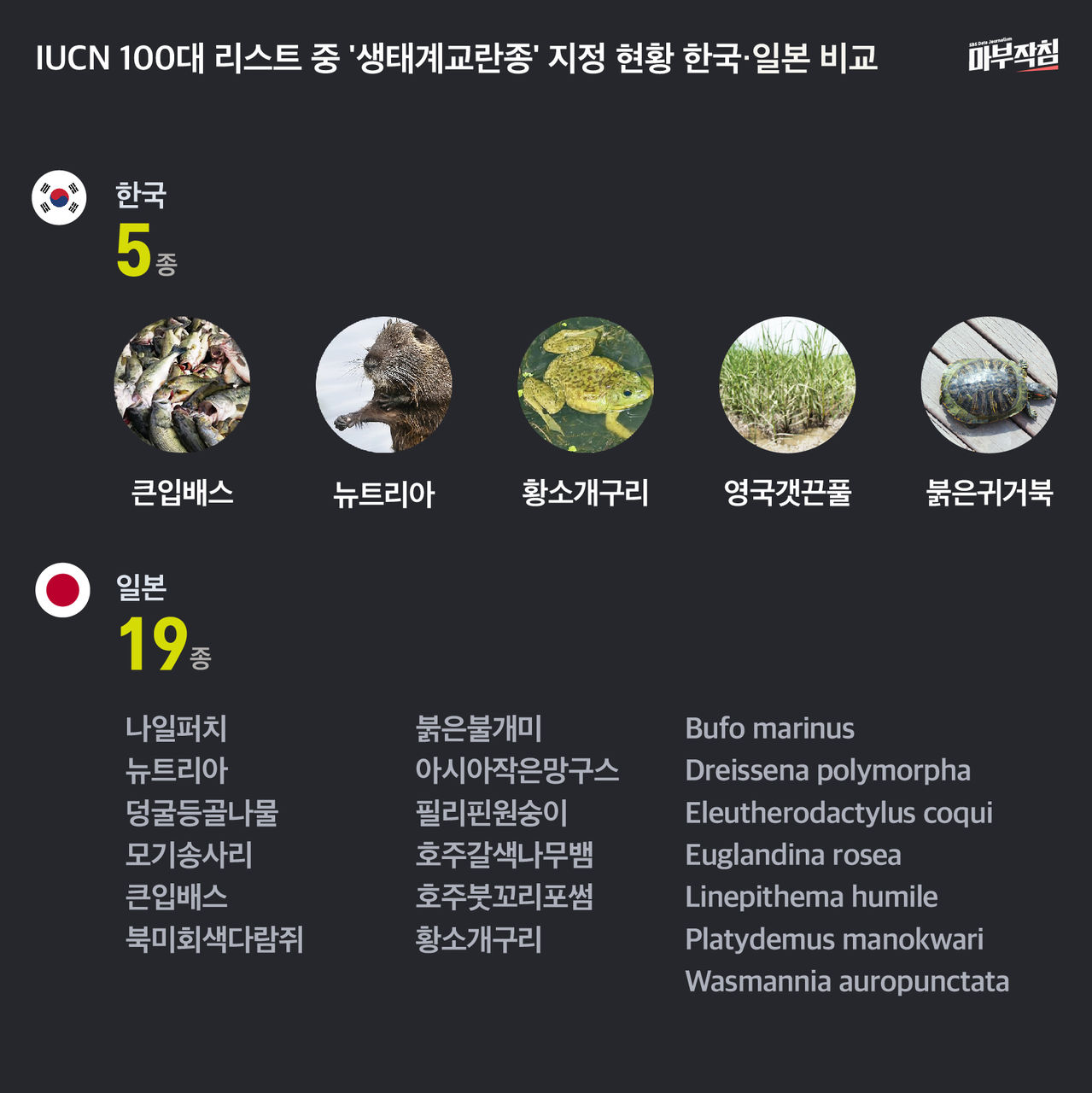 [마부작침] IUCN 100대 리스트 중 생태계교란종 지정 현황 한국 일본 비교