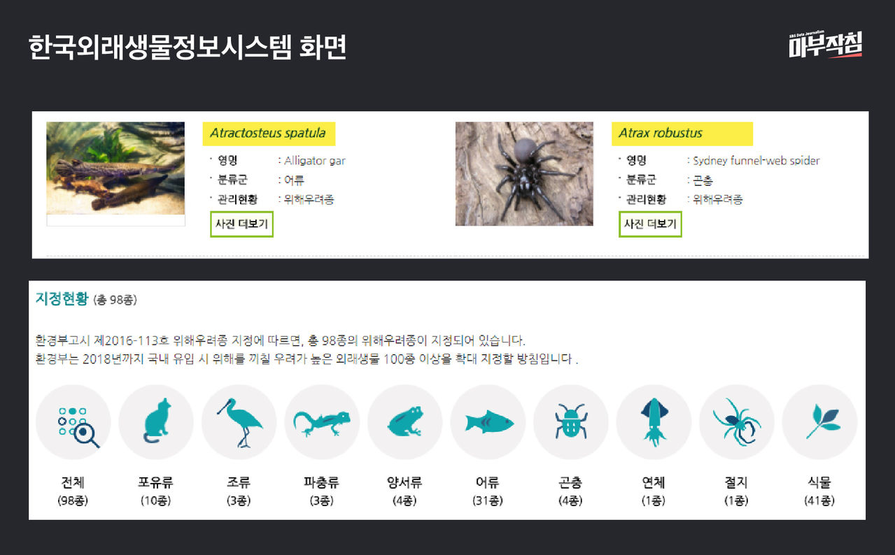 [마부작침] 한국외래생물정보시스템 화면