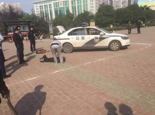 맹견에 물린 어린 손주 지키려 온몸 던진 할머니