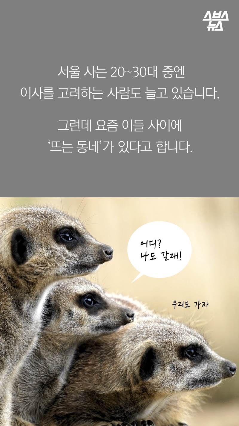 서울 사는 20~30대 중엔 이사를 고려하는 사람도 늘고 있습니다.
그런데 요즘 이들 사이에 ‘뜨는 동네’가 있다고 합니다.