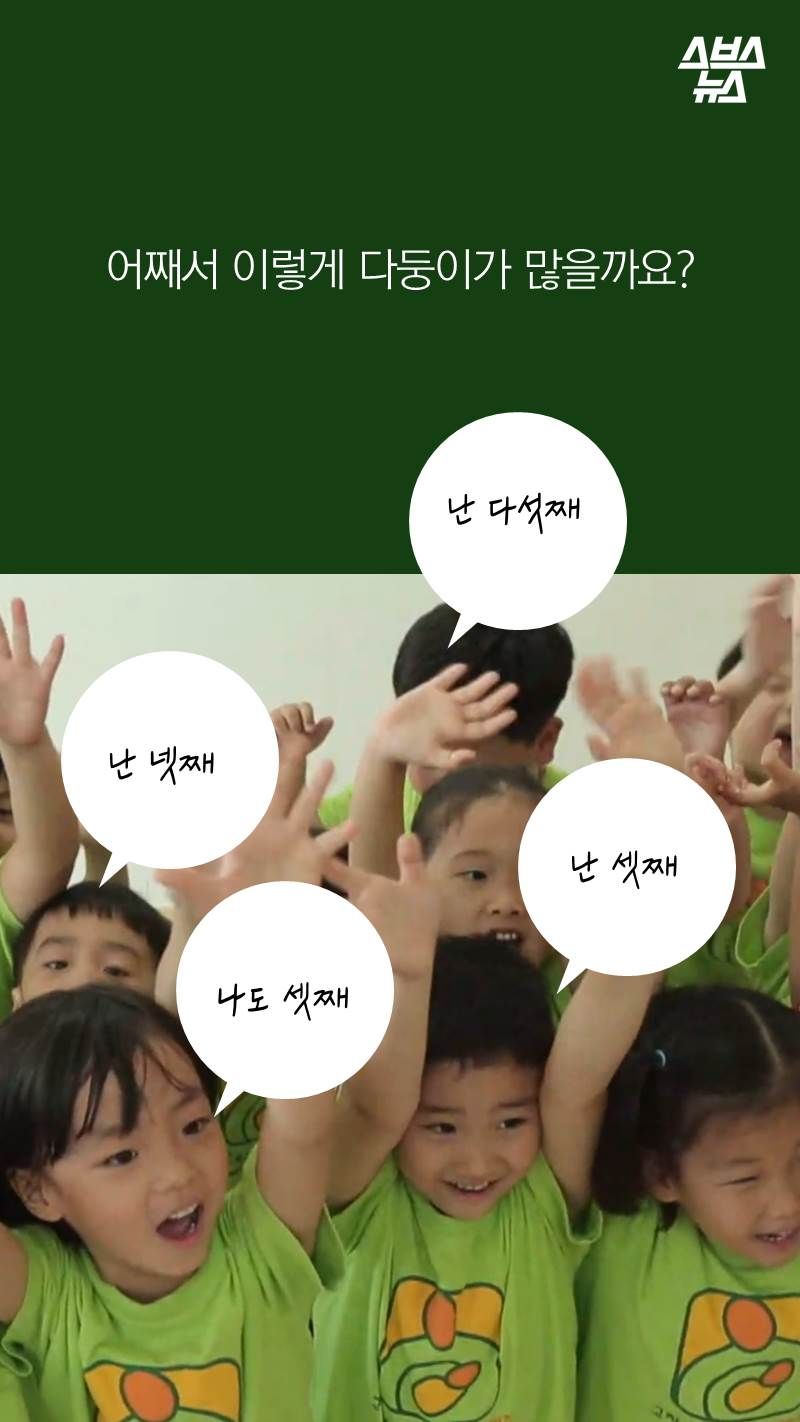 어째서 이렇게 다둥이가 많을까요?