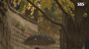 [영상토크] 겨울 재촉하는 '낙엽비'…가을 정취 느껴보세요