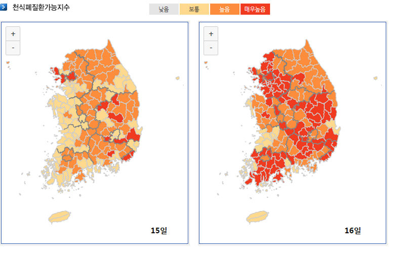천식 폐 질환 가능 지수 전망 (15일~16일)