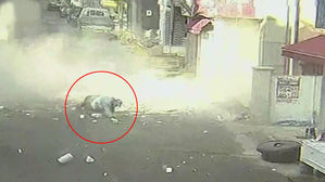 지진 피하려다 부상당한 사람들&hellip;"다시 집에 가기 두려워"