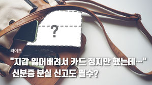 [라이프] "지갑 잃어버려서 카드 정지만 했는데…" 신분증 분실 신고도 필수?