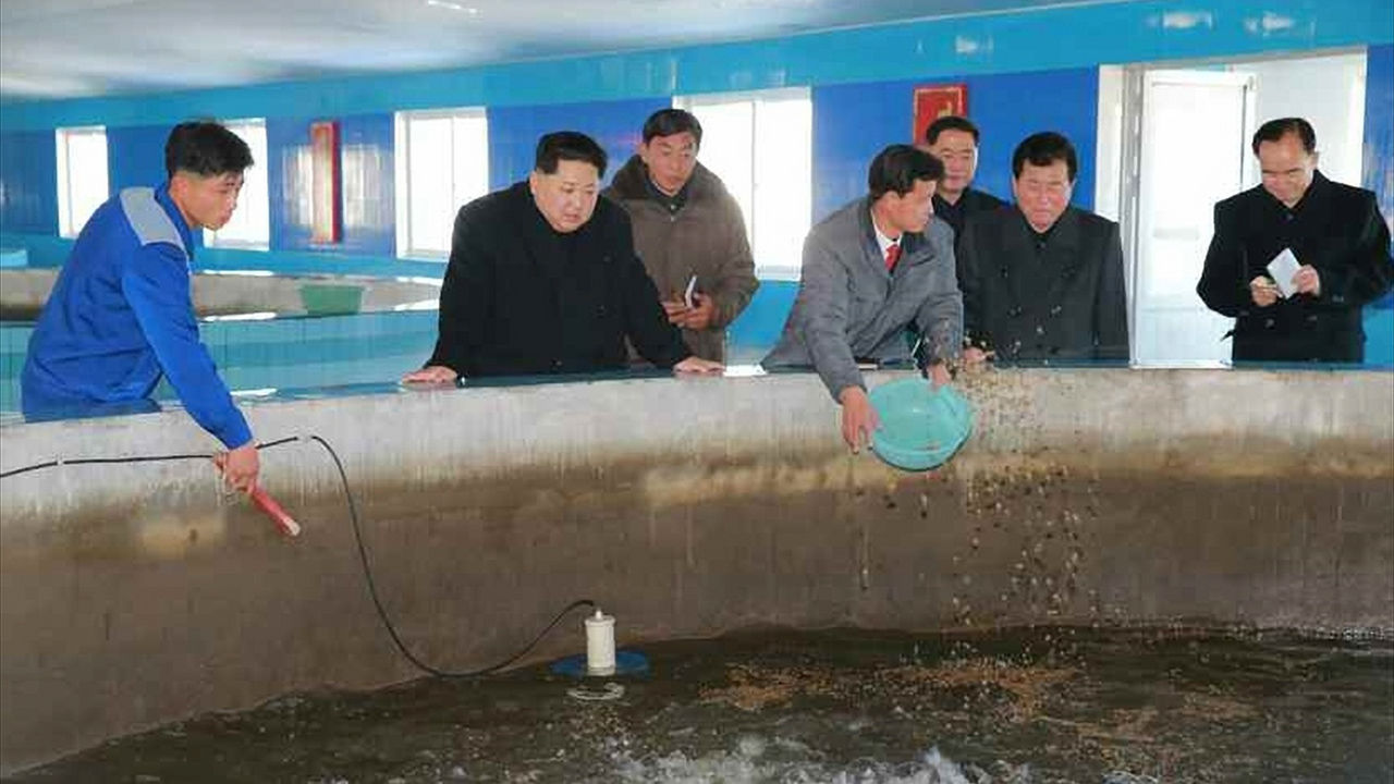 북한 김정은 메기