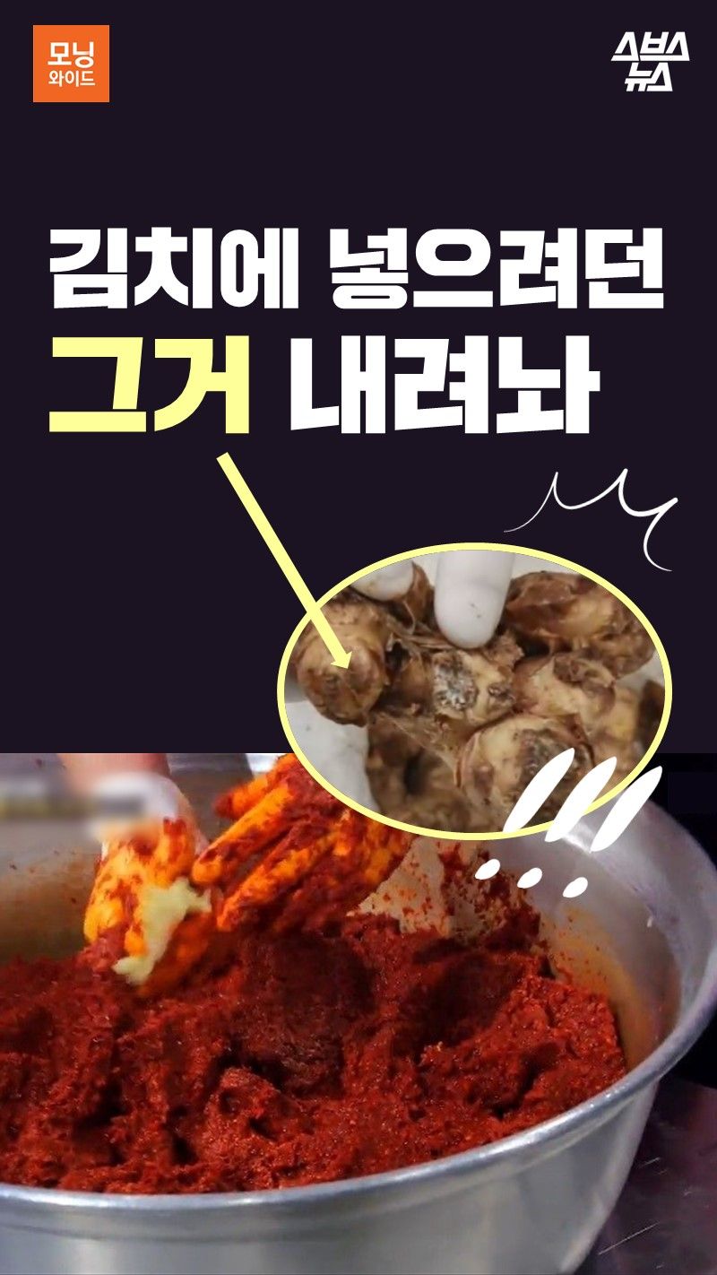 김치에 넣으려던 그거 내려놔