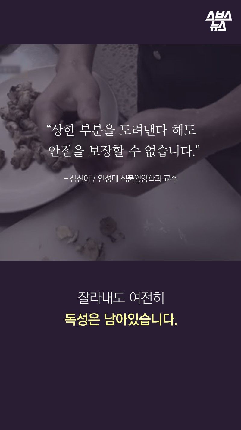 “상한 부분을 도려낸다 해도
안전을 보장할 수 없습니다.”
- 심선아 / 연성대 식품영양학과 교수
잘라내도 여전히
독성은 남아있습니다.