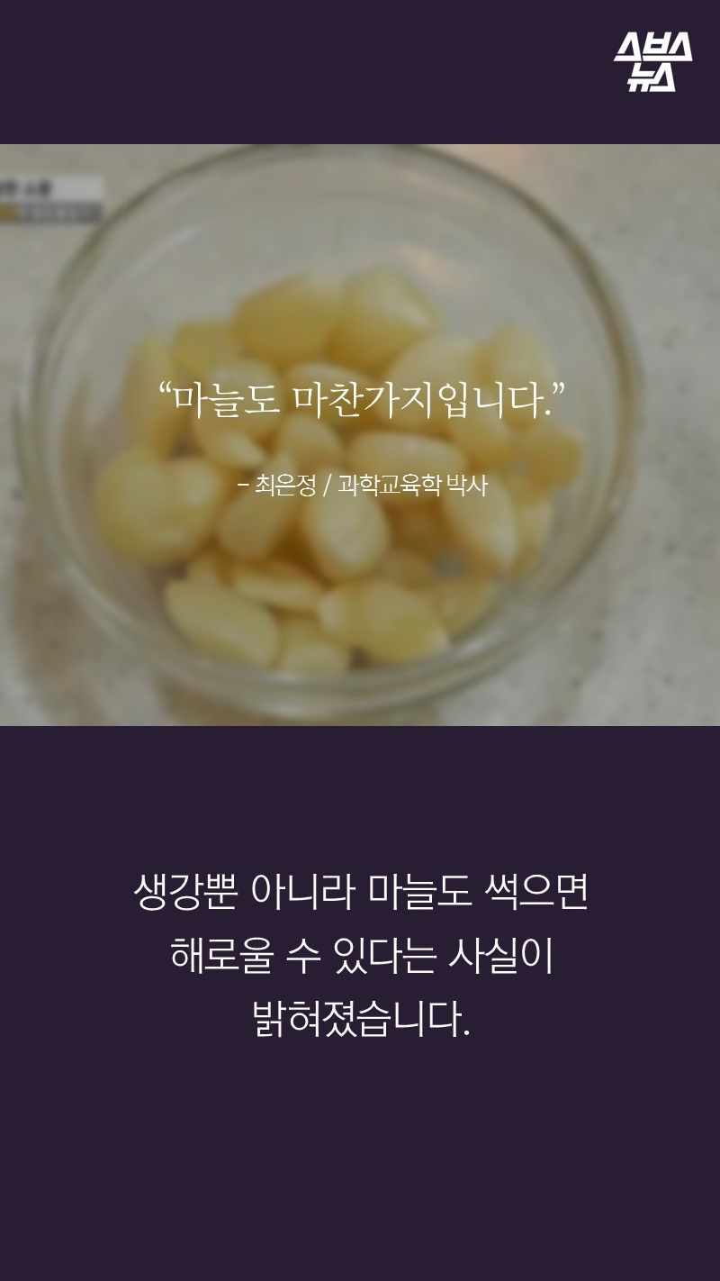 “마늘도 마찬가지입니다.”
- 최은정 / 과학교육학 박사
생강뿐 아니라 마늘도 썩으면
해로울 수 있다는 사실이 밝혀졌습니다.