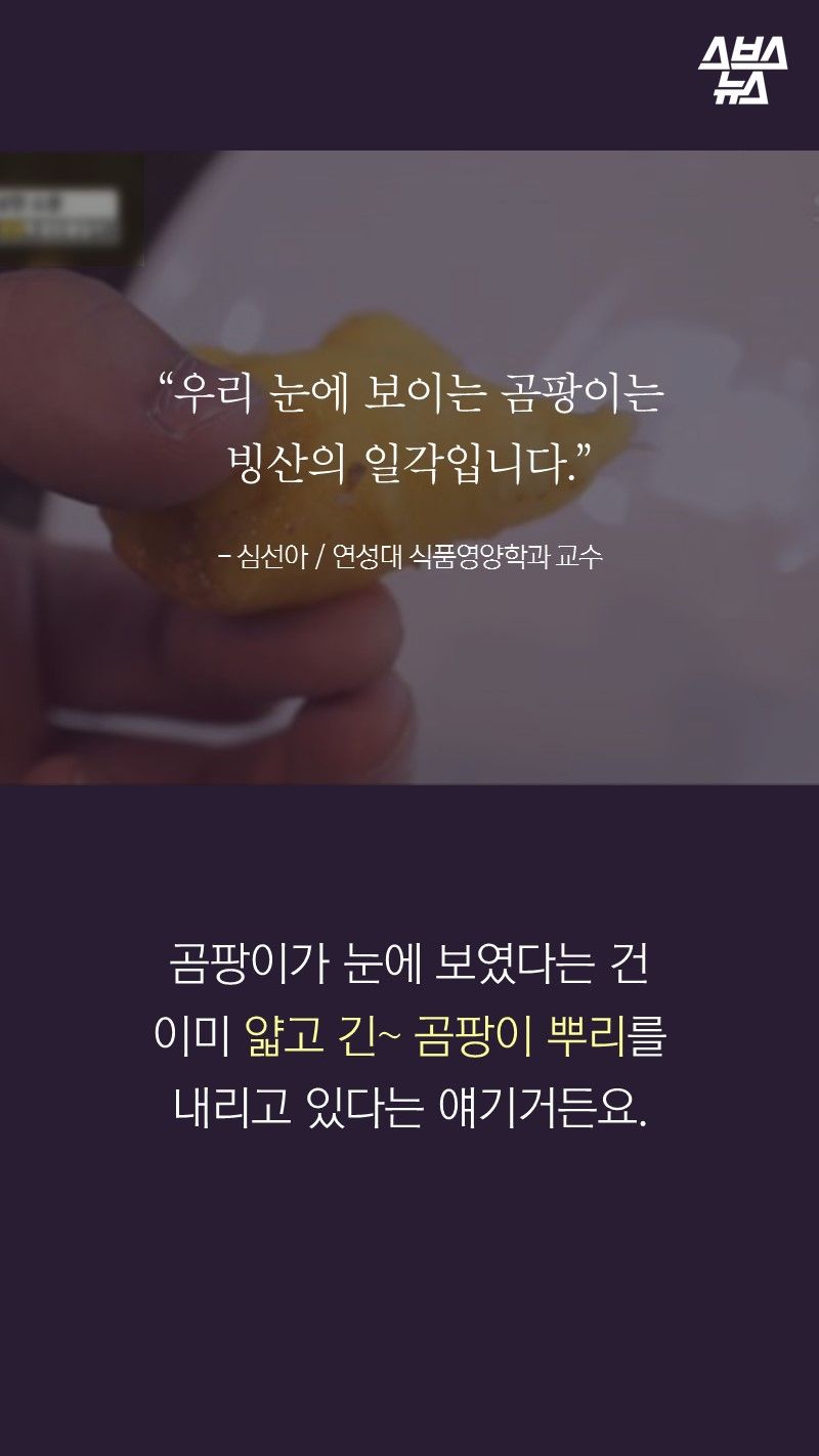 “우리 눈에 보이는 곰팡이는
빙산의 일각입니다.”
- 심선아 / 연성대 식품영양학과 교수