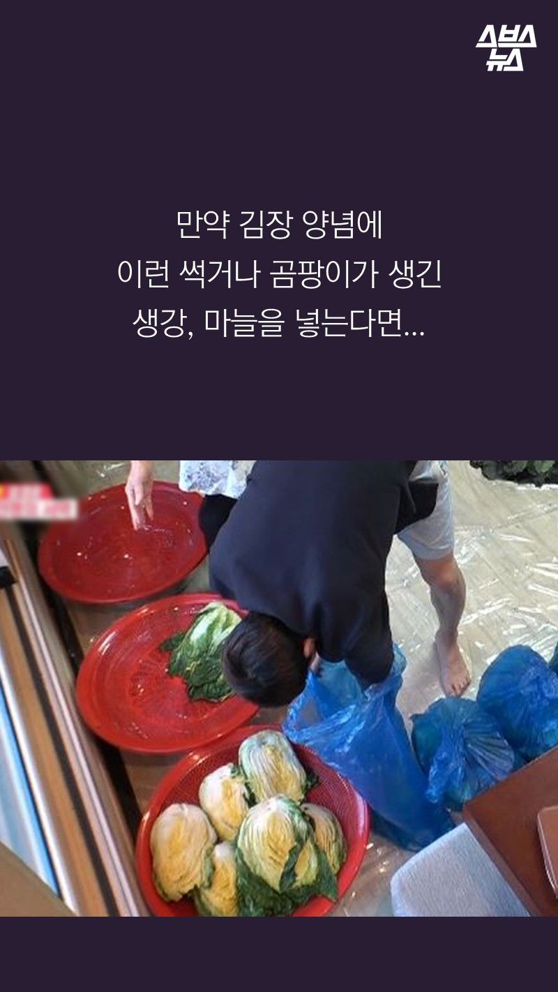 만약 김장 양념에
이런 썩거나 곰팡이가 생긴
생강, 마늘을 넣는다면...