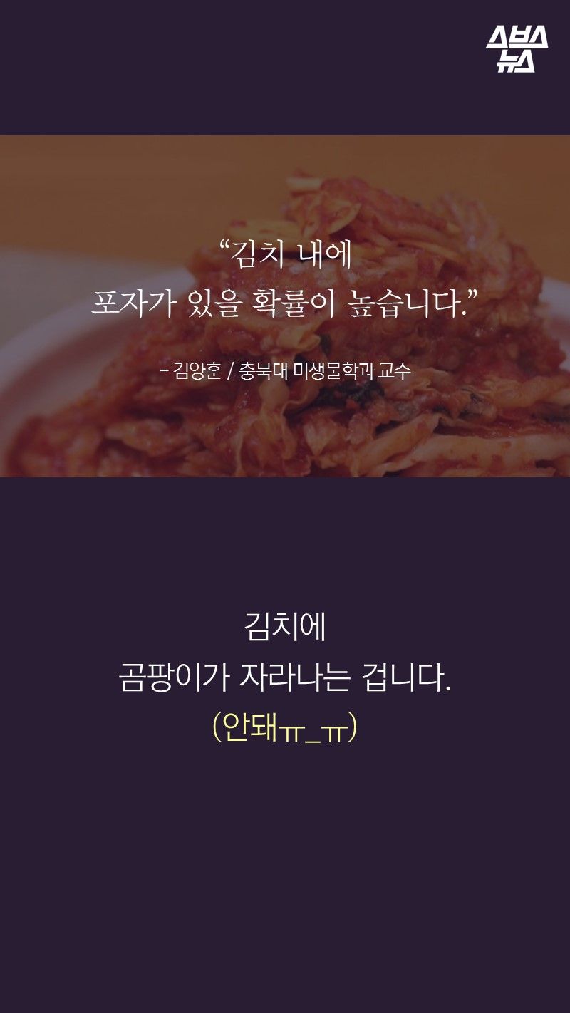 “김치 내에
포자가 있을 확률이 높습니다.”
- 김양훈 / 충북대 미생물학과 교수
김치에
곰팡이가 자라나는 겁니다.
(안돼ㅠ_ㅠ)
