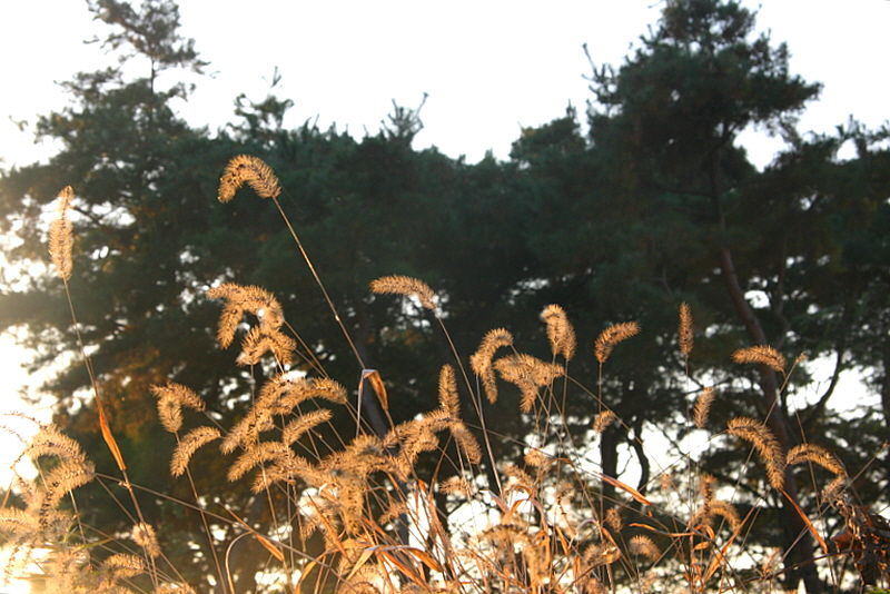 여주 <여강길> 53