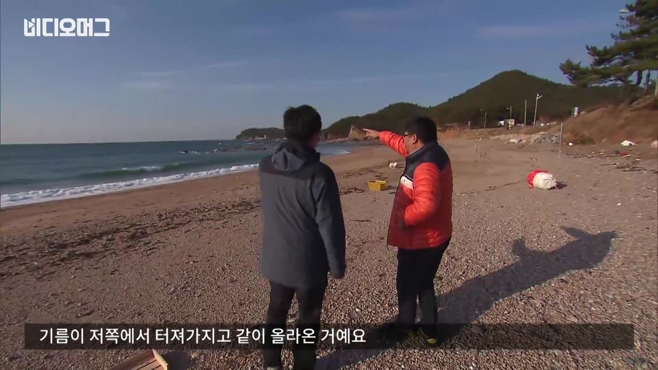 비디오머그