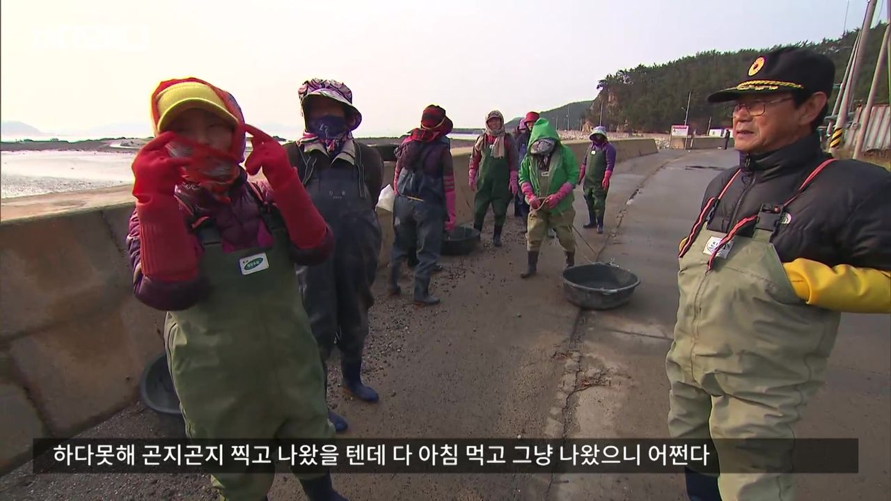 비디오머그