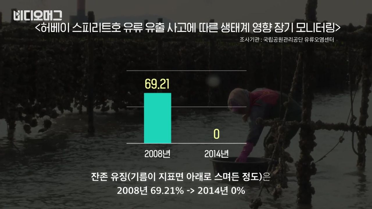 비디오머그