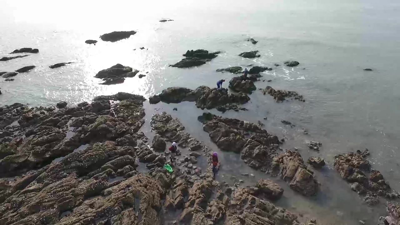 비디오머그
