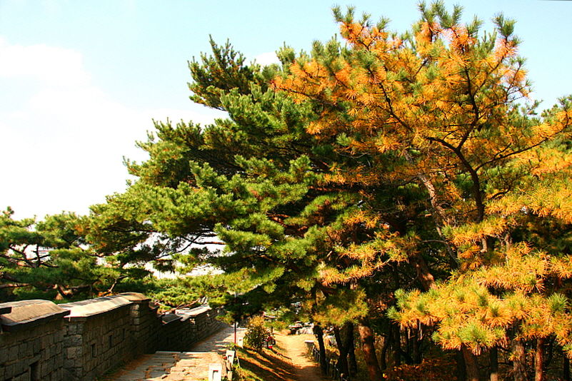 <수원화성 성곽길> 12
