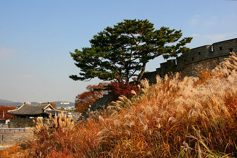 <수원화성 성곽길> 13
