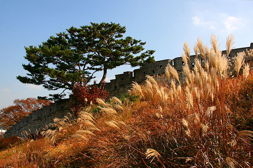 <수원화성 성곽길> 21-2