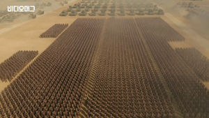 [영상] 'CG인 줄'…대륙의 대단한 군 총동원대회