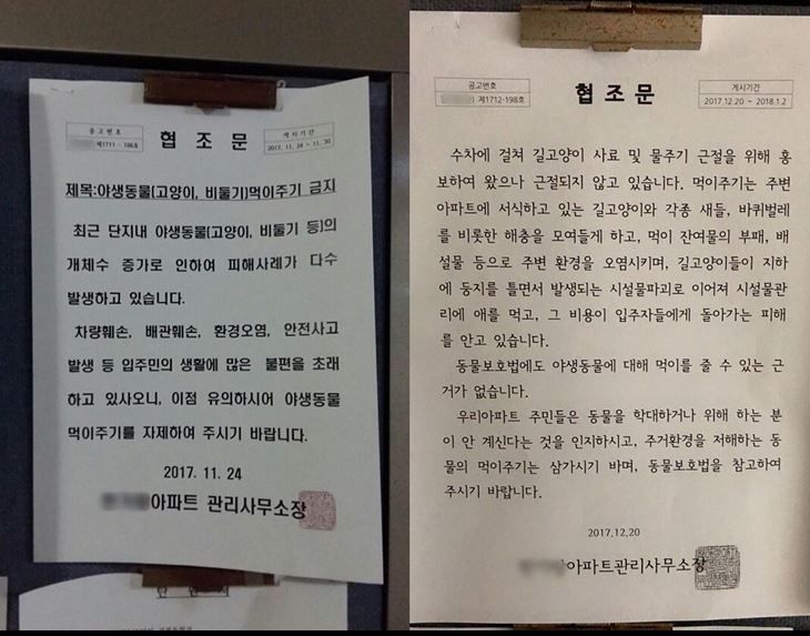 카라 협조문