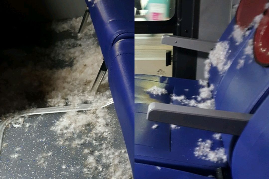 롱패딩 터짐(사진=온라인 커뮤니티)