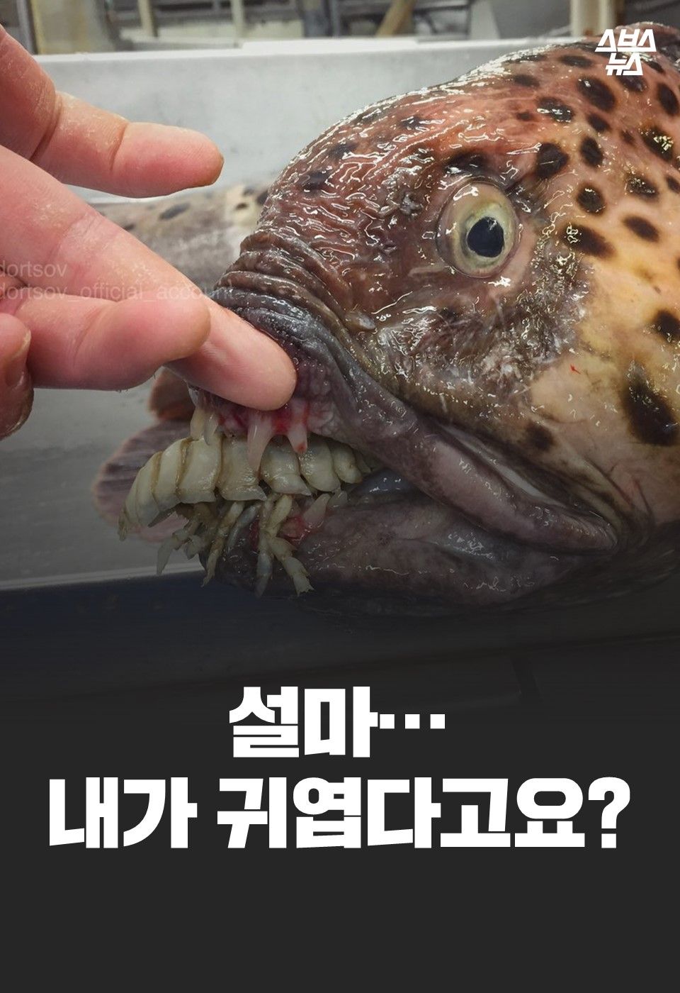 설마…
내가 귀엽다고요?