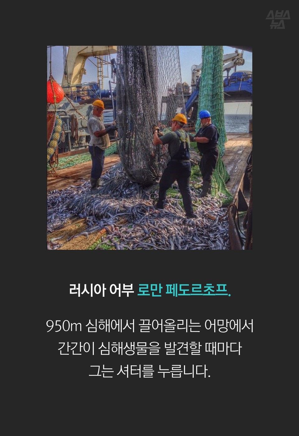 러시아 어부 로만 페도르초프.
950m 심해에서 끌어올리는 어망에서
간간이 심해생물을 발견할 때마다
그는 셔터를 누릅니다.
