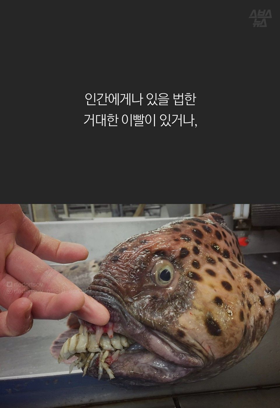 인간에게나 있을 법한
거대한 이빨이 있거나,