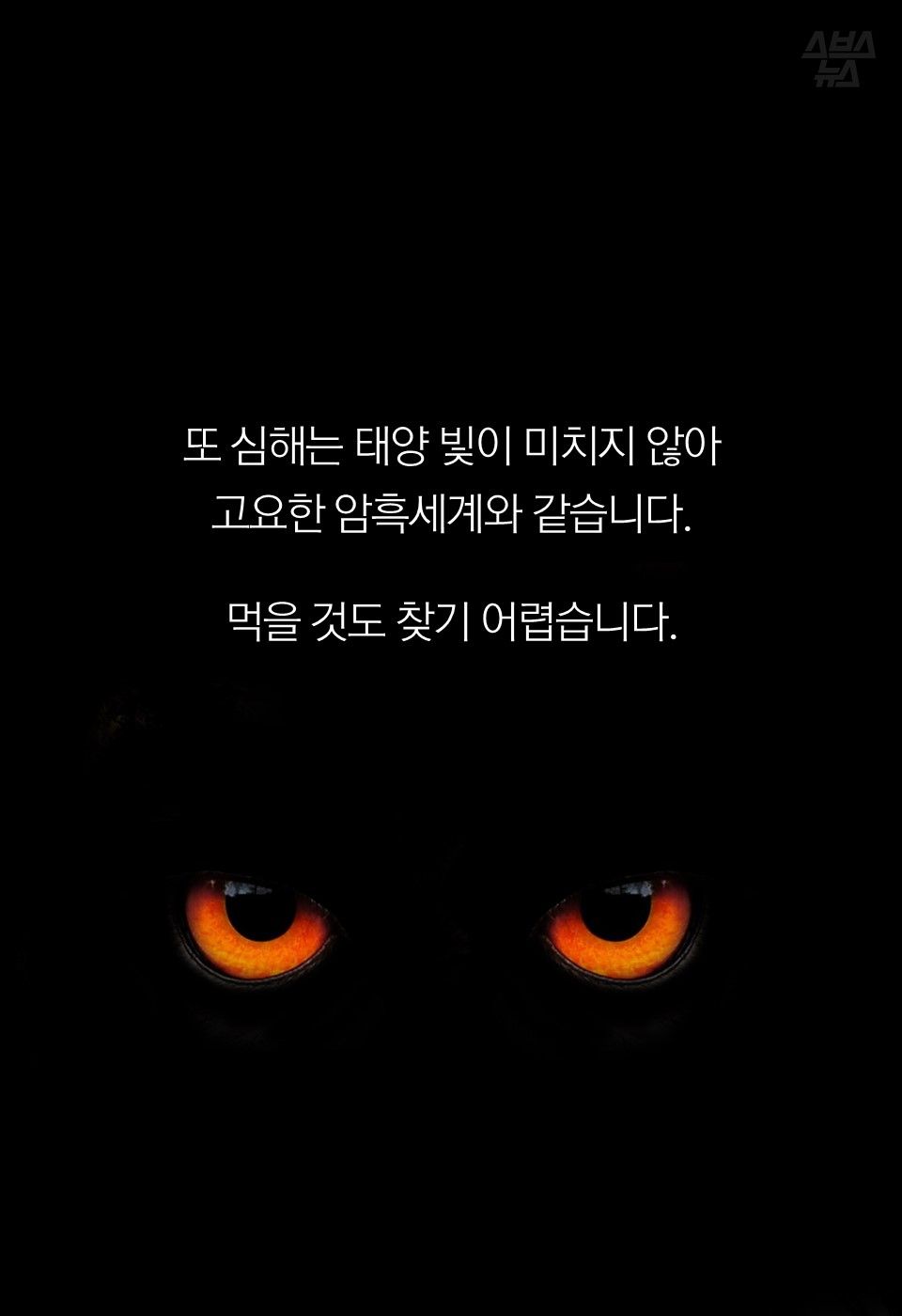 또 심해는 태양 빛이 미치지 않아
고요한 암흑세계와 같습니다.
먹을 것도 찾기 어렵습니다.