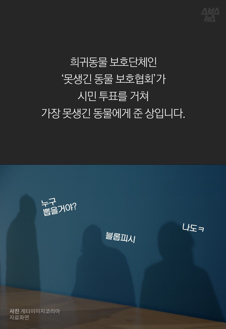 희귀동물 보호단체인
‘못생긴 동물 보호협회’가
시민 투표를 거쳐
가장 못생긴 동물에게 준 상입니다.