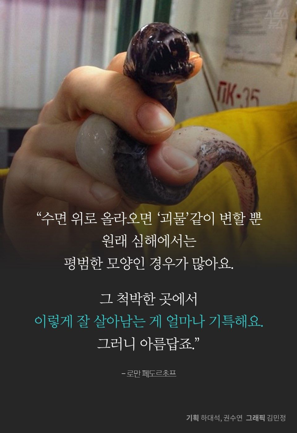 “수면 위로 올라오면 ‘괴물’같이 변할 뿐
원래 심해에서는
평범한 모양인 경우가 많아요.
그 척박한 곳에서
이렇게 잘 살아남는 게 얼마나 기특해요.
그러니 아름답죠.”
- 로만 페도르초프