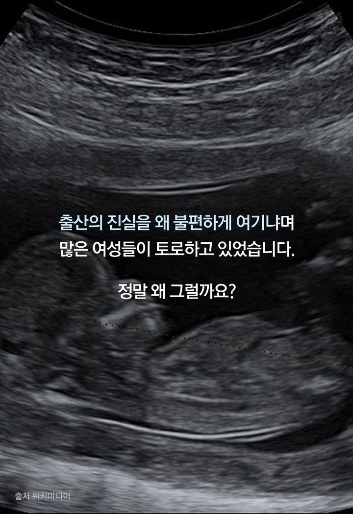 출산의 진실을 왜 불편하게 여기냐며
많은 여성들이 토로하고 있었습니다.

정말 왜 그럴까요?