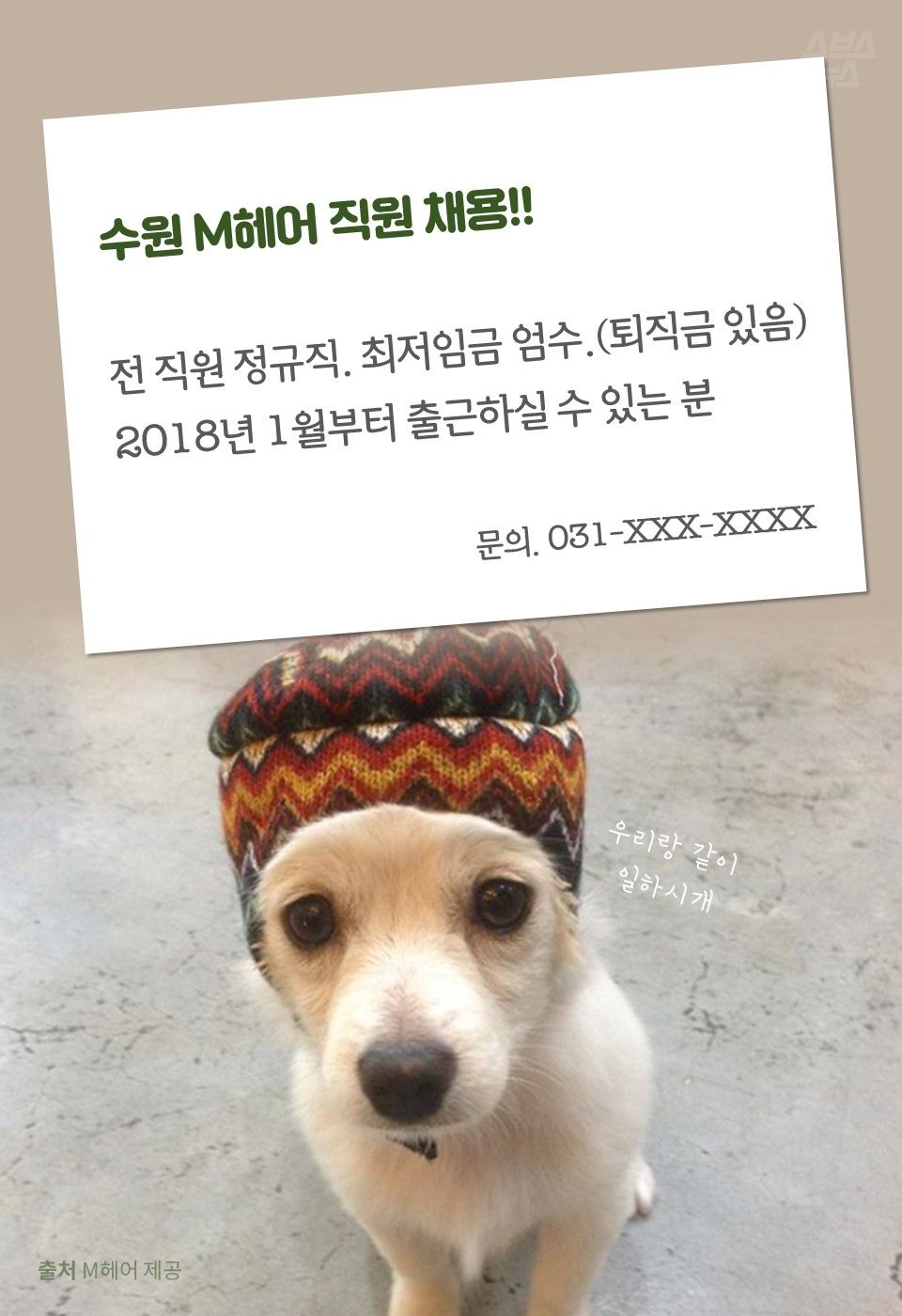 수원 M헤어 직원 채용!!
전 직원 정규직. 최저임금 엄수.(퇴직금 있음)
2018년 1월부터 출근하실 수 있는 분
문의. 031-XXX-XXXX