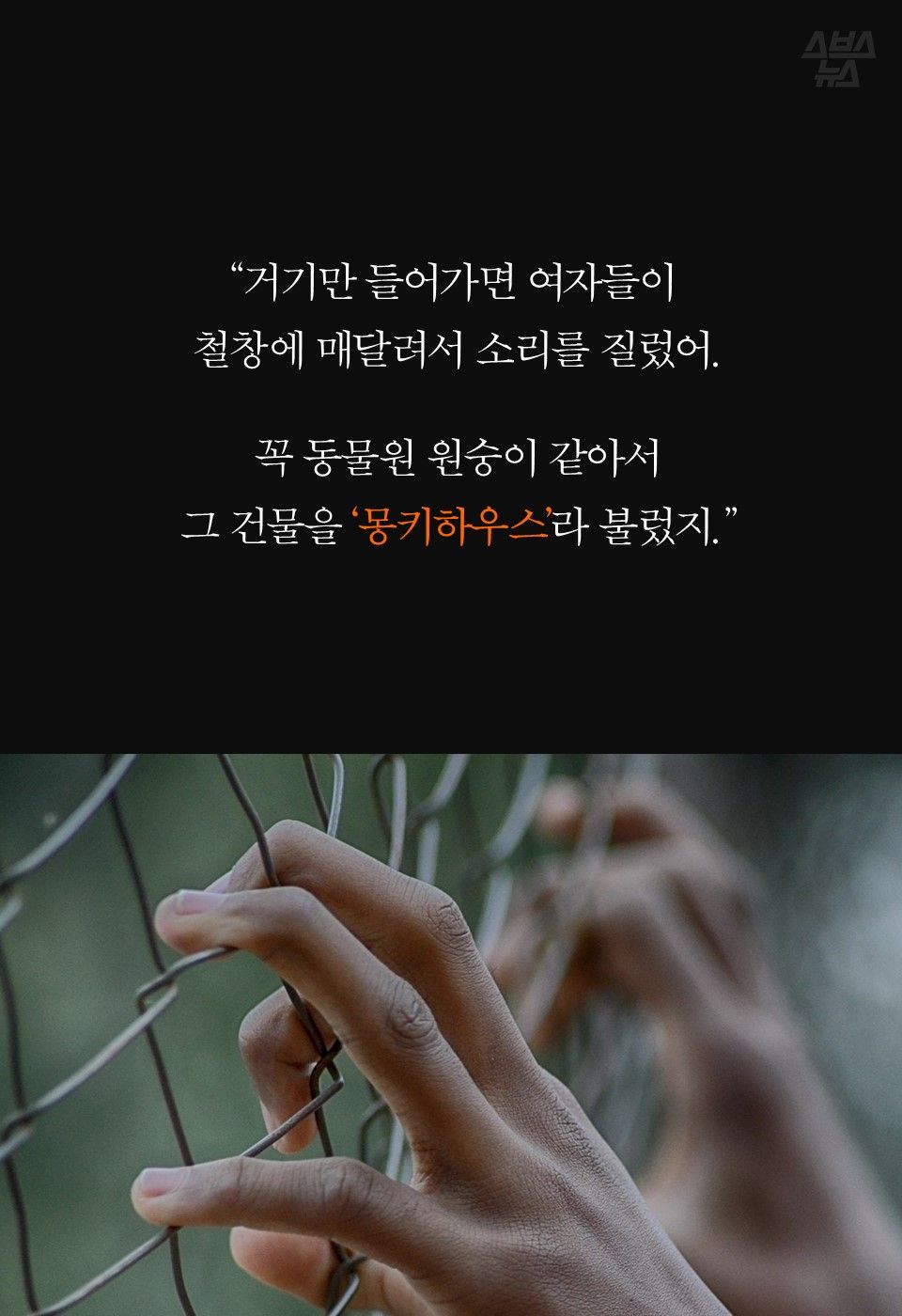 “거기만 들어가면 여자들이
철창에 매달려서 소리를 질렀어.
꼭 동물원 원숭이 같아서
그 건물을 ‘몽키하우스’라 불렀지.”