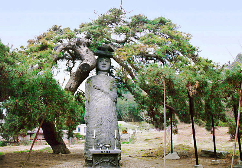 논산 송불암 미륵불 (사진=문화재청)