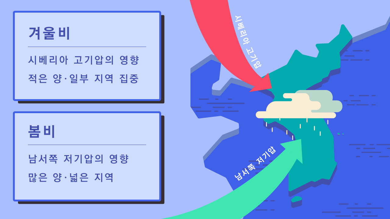 *그래픽
<오늘 내린 비는 봄비? 겨울비?>
봄비와 겨울비 특징 //