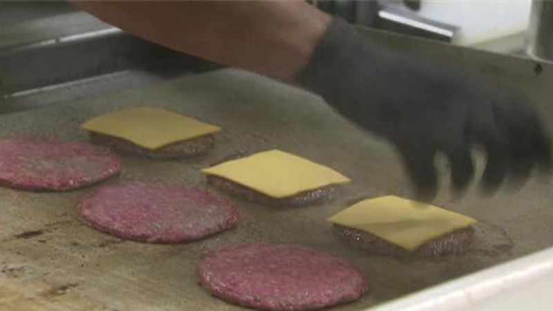 세균에 오염된 고기패티 덜 익히면 '햄버거병' 유발