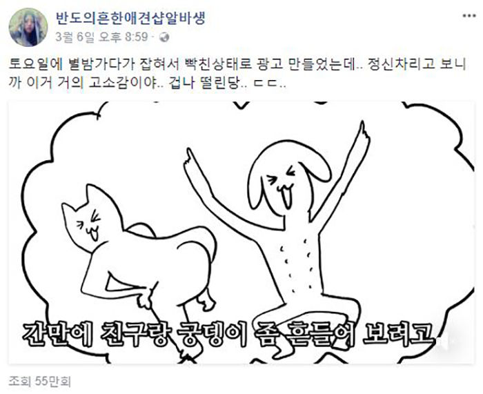 B급 정서'로 화제 되고 있는 영상
