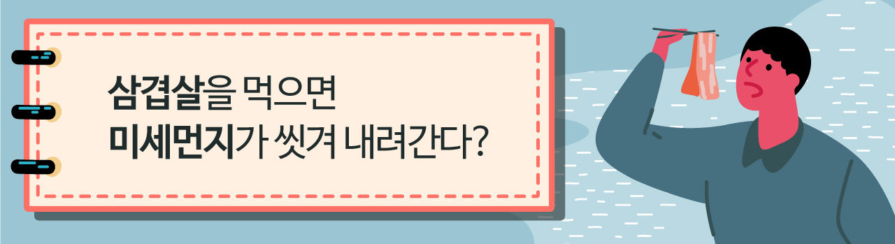 (배너) <삼겹살을 먹으면 미세먼지가 씻겨 내려간다?>