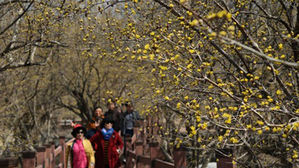 [취재파일] 해결사로 등장한 봄비…이상 고온현상 몰아낼 듯