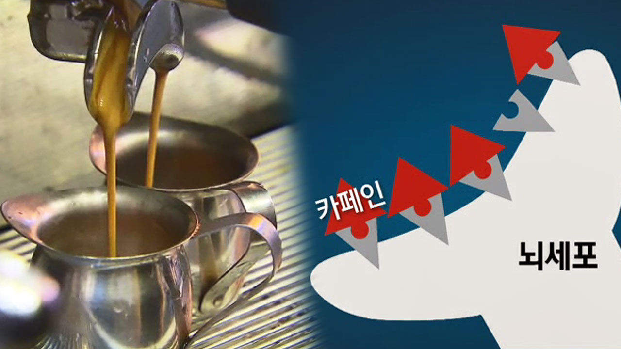 졸음운전 막는 커피 냅